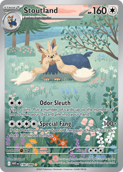 Stoutland card