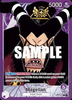 Magellan card