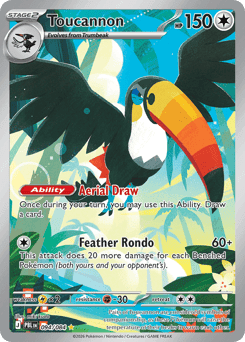 Toucannon card